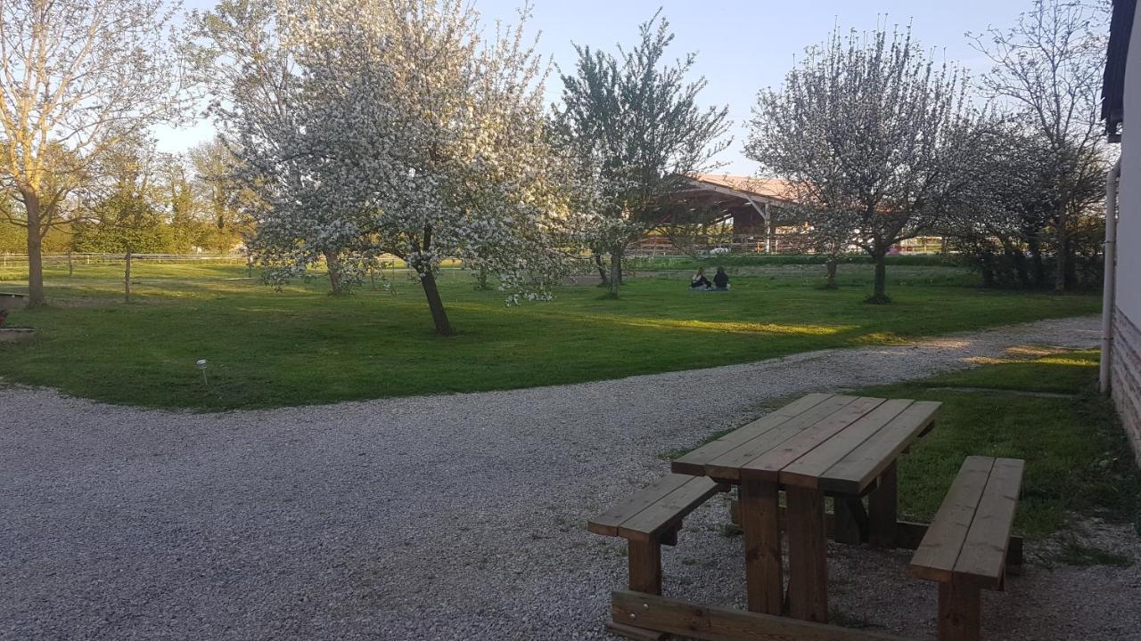 Ferme Passion Bed and Breakfast Saint-Trivier-sur-Moignans Eksteriør billede